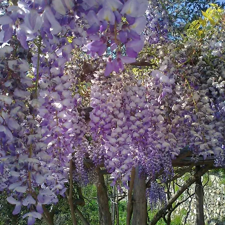 לינה וארוחת בוקר Le Ghiande 4*