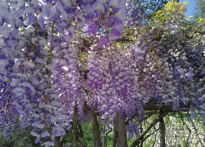 Bed and breakfast Le Ghiande 4*